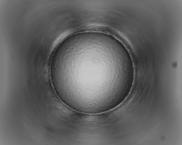 X0000091101362200708201510