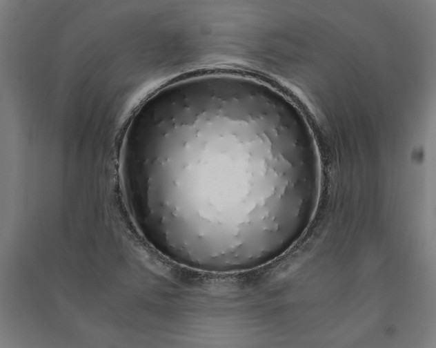 X0000091101363200708201510