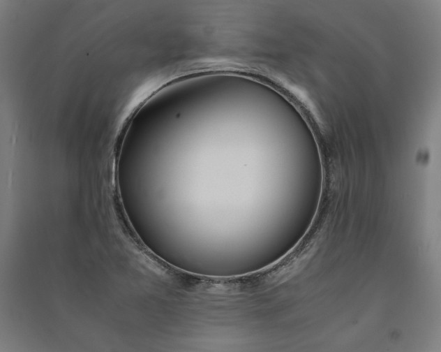 X0000091101365200708201510