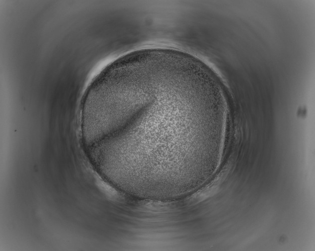 X0000091101366200708201510