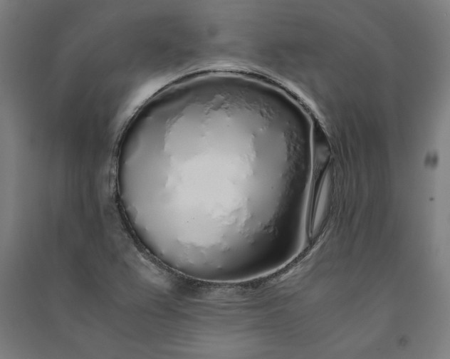 X0000091101367200708201510