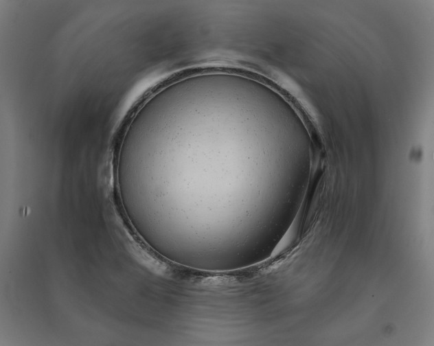 X0000091101368200708201510