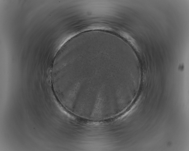 X0000091101369200708201510