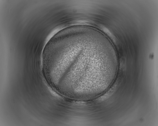 X0000091101370200708201510