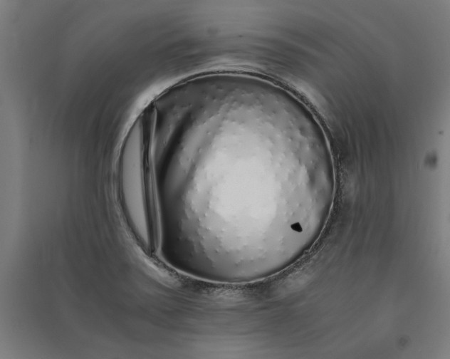 X0000091101371200708201510