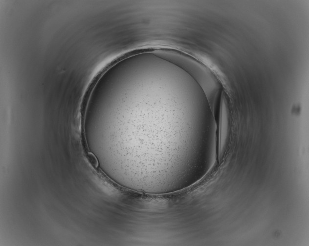 X0000091101372200708201510