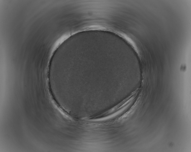 X0000091101373200708201510