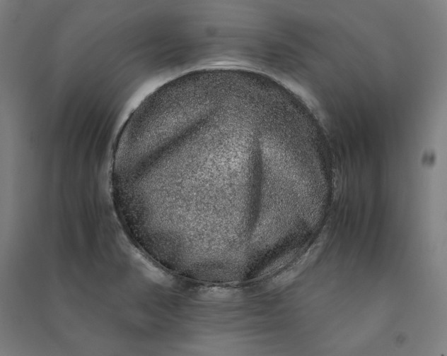 X0000091101374200708201510