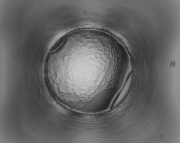 X0000091101375200708201510