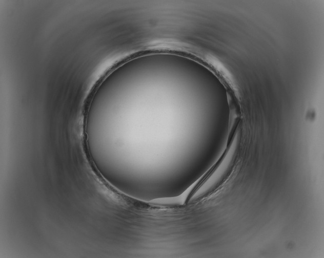 X0000091101376200708201510