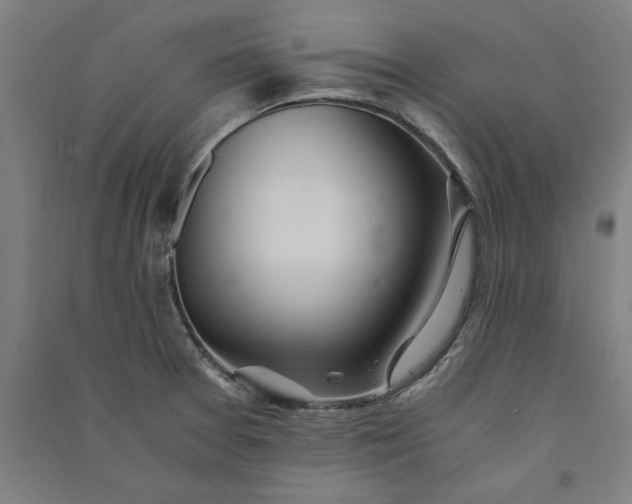 X0000091101377200708201510