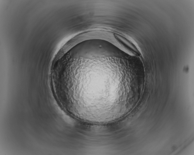 X0000091101379200708201510