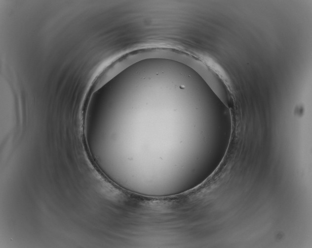 X0000091101380200708201510