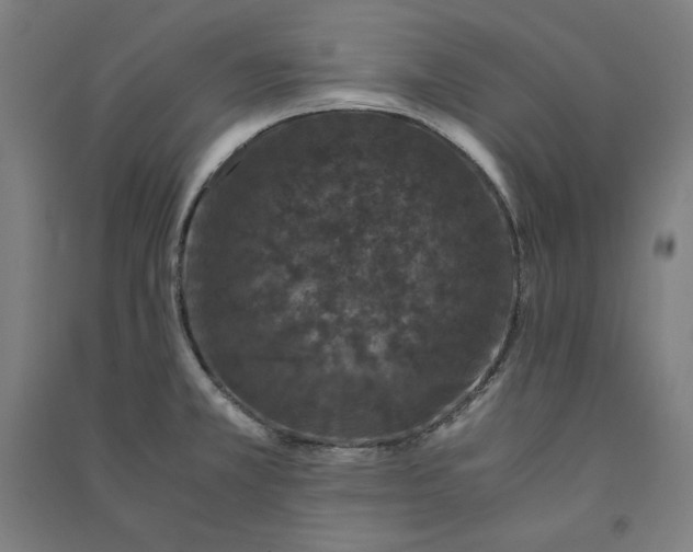 X0000091101381200708201510