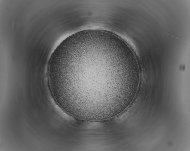 X0000091101382200708201510