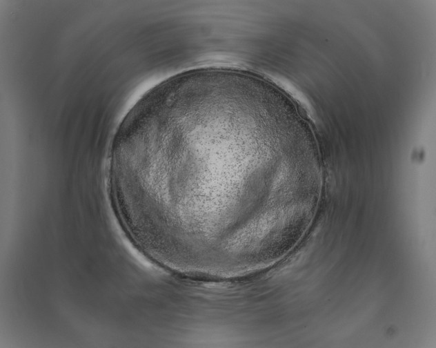 X0000091101383200708201510