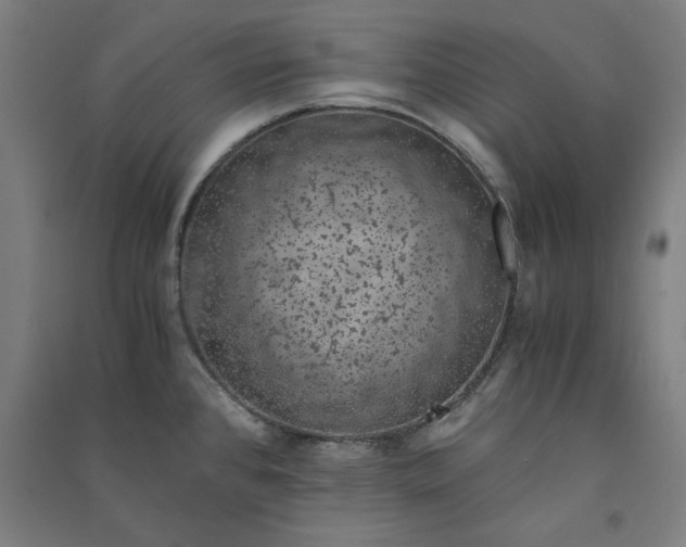 X0000091101384200708201510