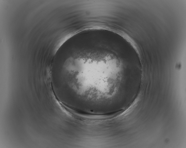 X0000091101385200708201510