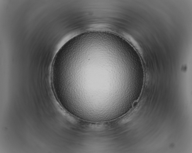 X0000091101386200708201510