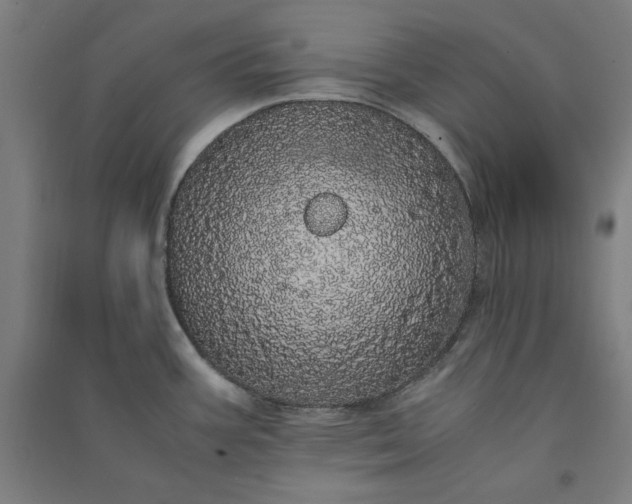 X0000091101387200708201510