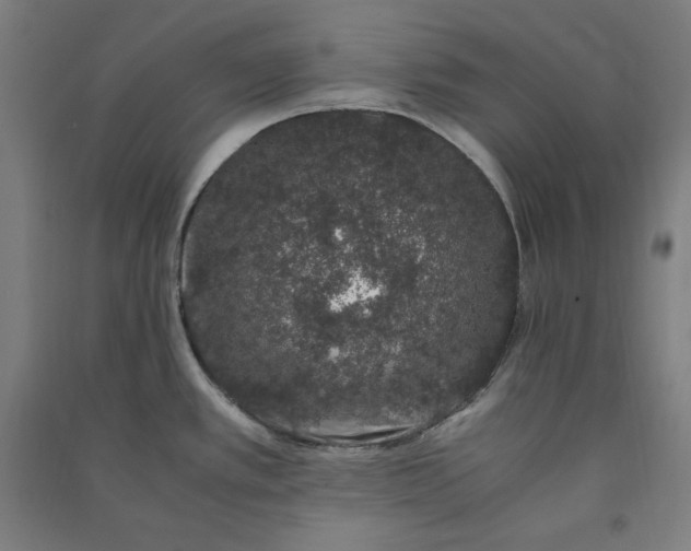 X0000091101389200708201510