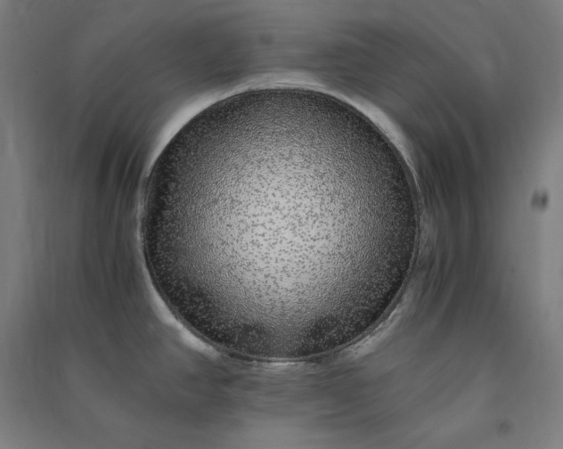 X0000091101390200708201510