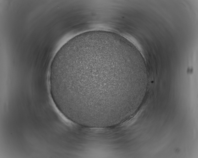 X0000091101391200708201510