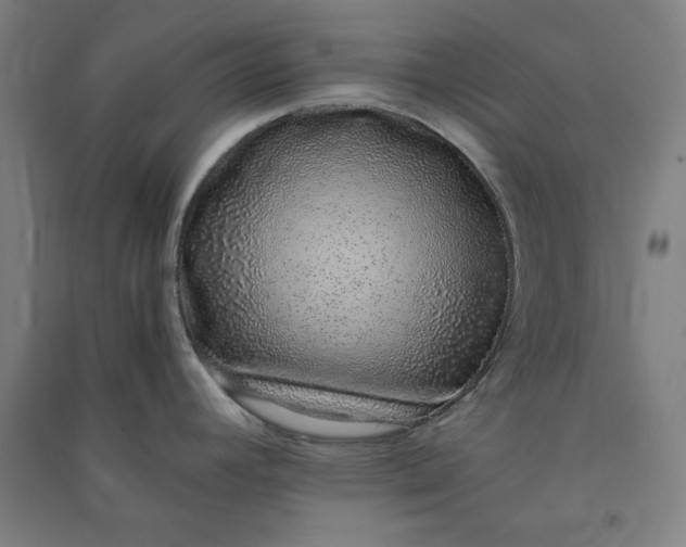 X0000091101392200708201510