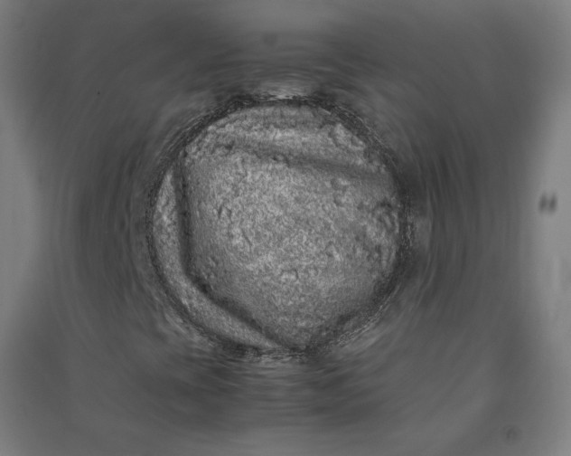 X0000091101393200708201509