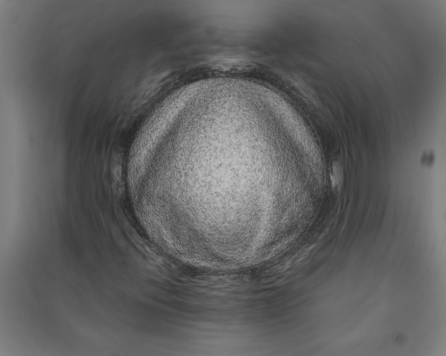 X0000091101396200708201509