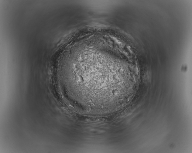 X0000091101397200708201509