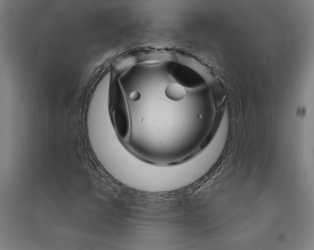 X0000091101398200708201509