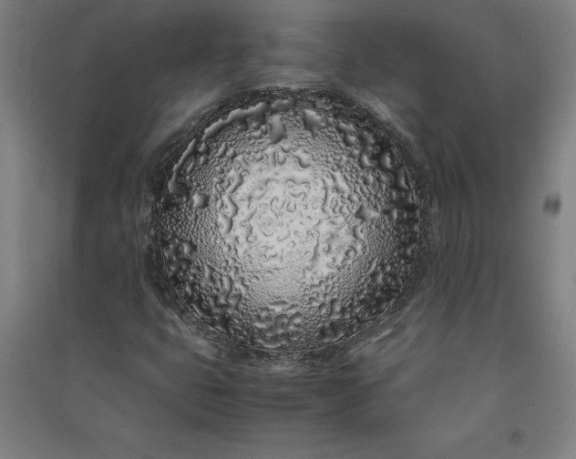 X0000091101399200708201509