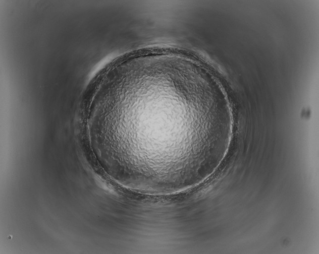 X0000091101400200708201509