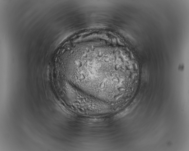 X0000091101401200708201509