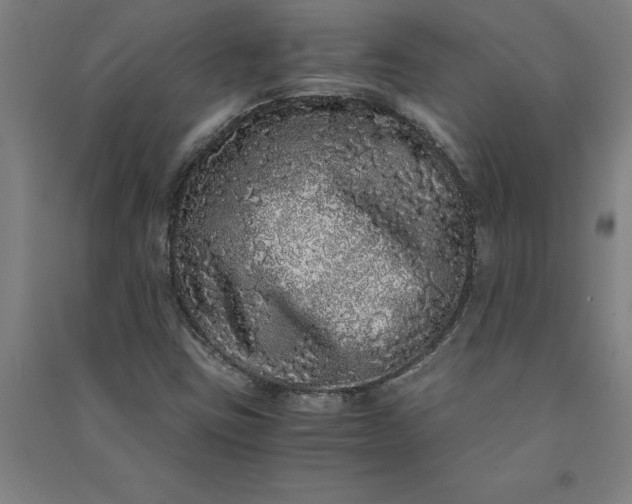 X0000091101403200708201509