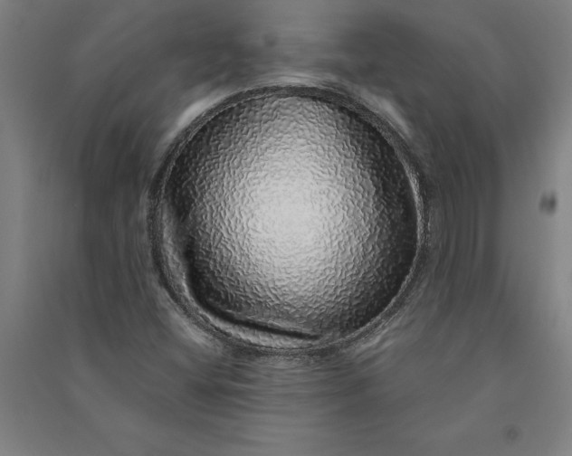 X0000091101404200708201509