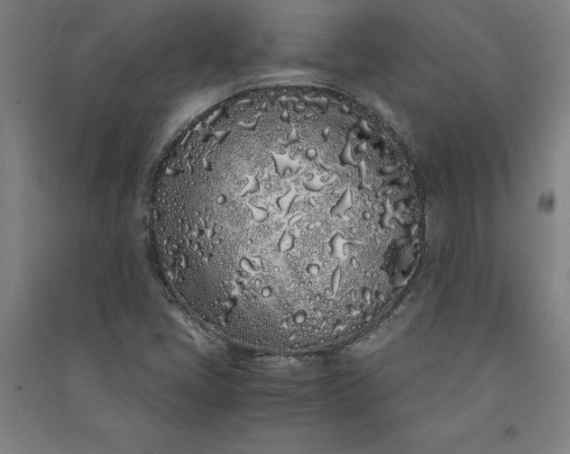 X0000091101405200708201509