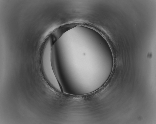 X0000091101406200708201509