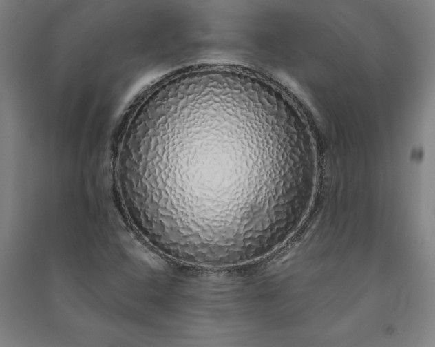 X0000091101408200708201509