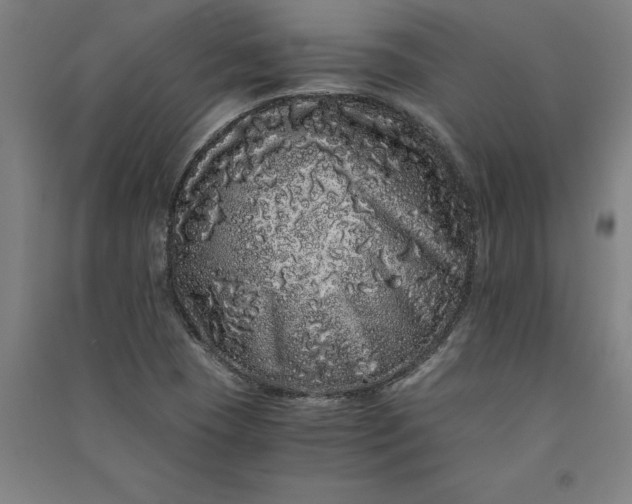 X0000091101409200708201509