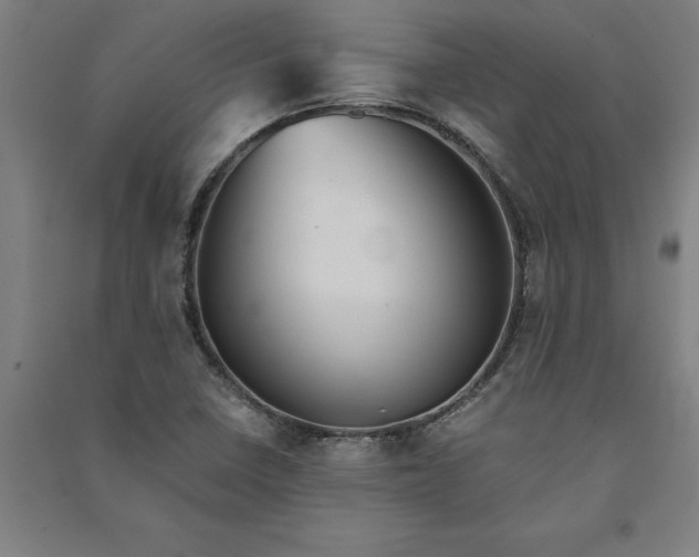 X0000091101410200708201509