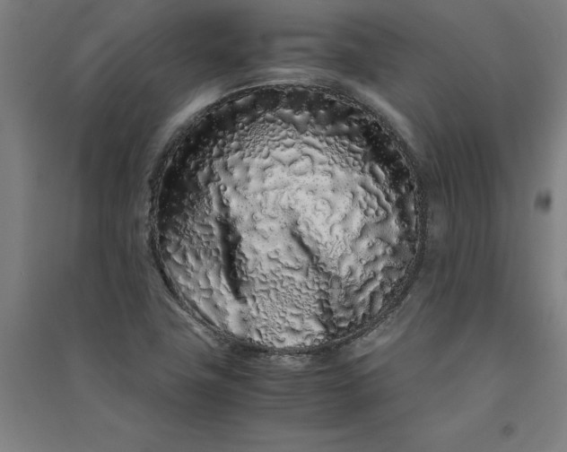 X0000091101411200708201510