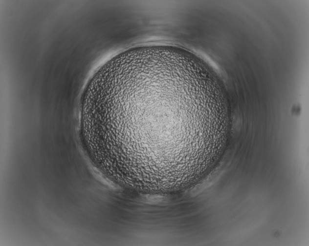 X0000091101413200708201510