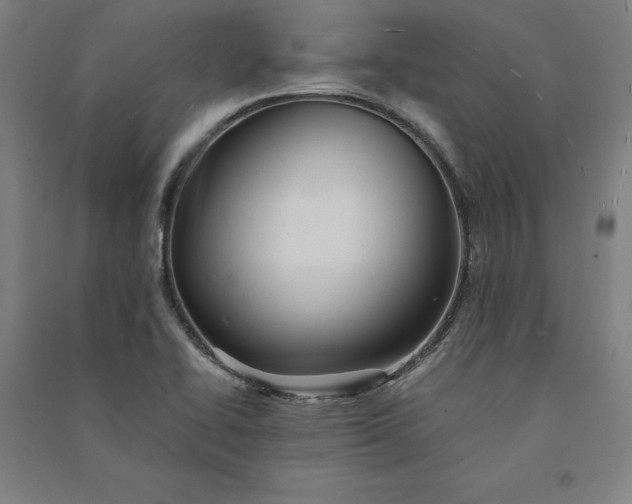 X0000091101414200708201510