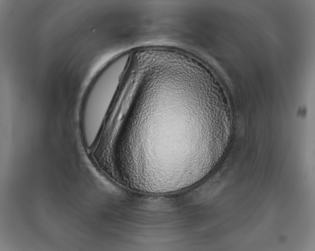 X0000091101416200708201510