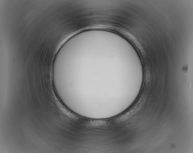 X0000091101417200708201510