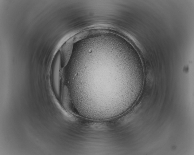 X0000091101418200708201510