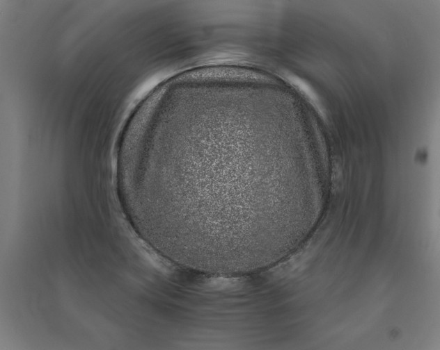 X0000091101419200708201510