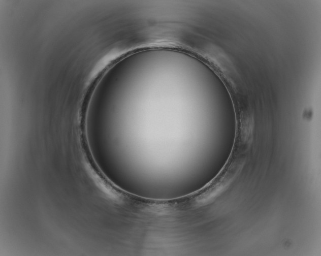 X0000091101422200708201510